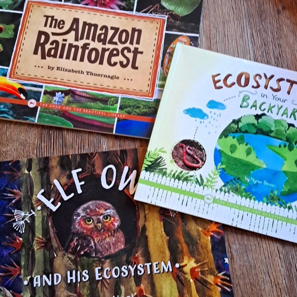 3 Eco System Science